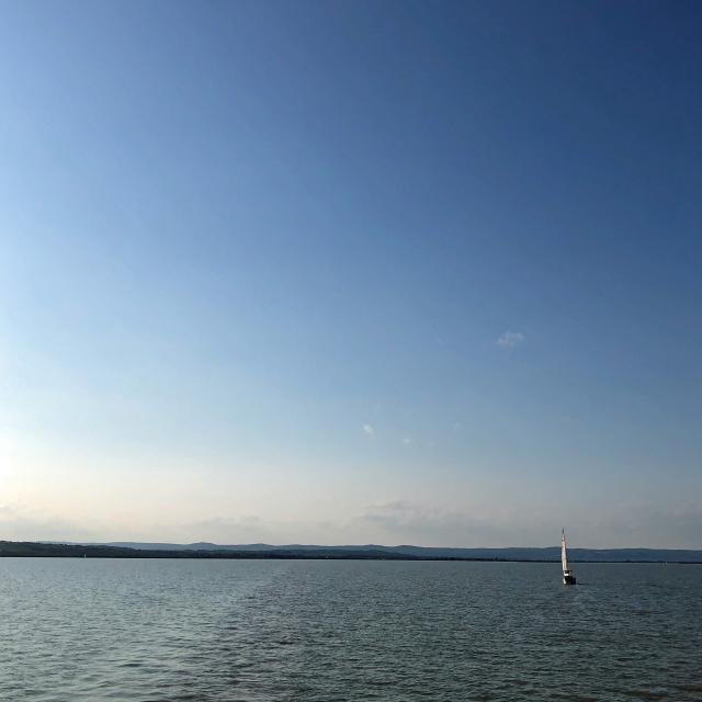 Wasser und Horizont des Neusiedler Sees