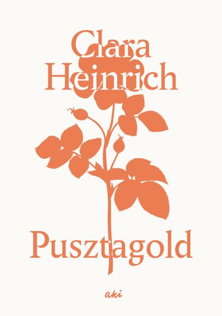 Buchcover "Pusztagold" von Clara Heinrich