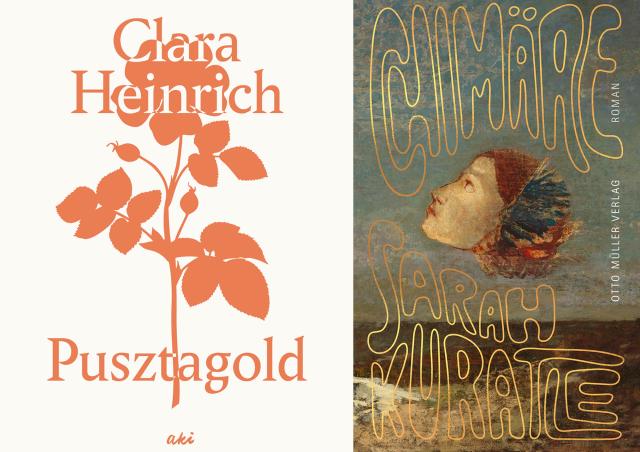 Lesung mit Clara Heinrich und Sarah Kuratle