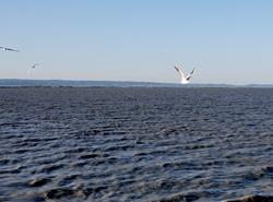 Auf dem See unterwegs